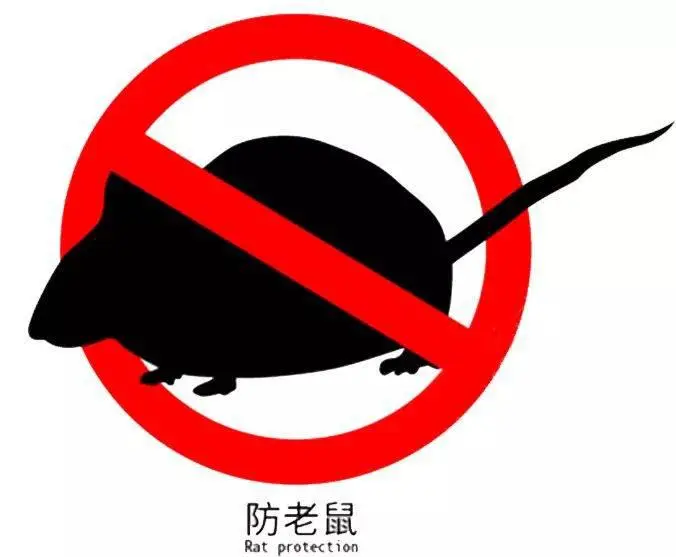 钩端螺旋体病教学视频_人得钩端螺旋体怎么办_钩端螺旋体对人的危害