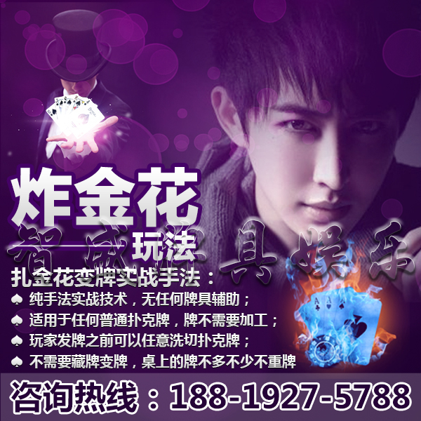 金花报牌器是什么样的-揭秘金花报牌器:赌桌利器还是玩家福音?