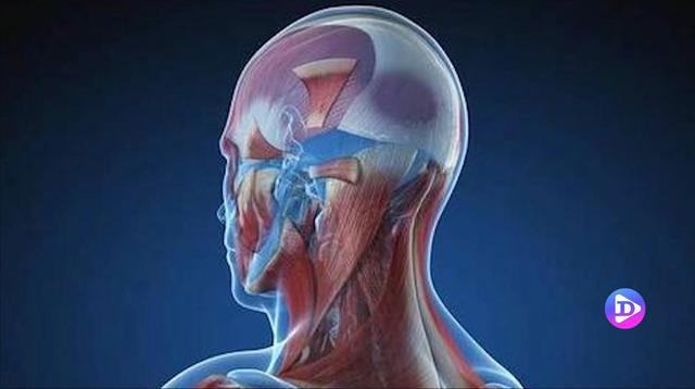 男人兴奋点准确位置图_兴奋的症状是什么症状_兴奋是什么病
