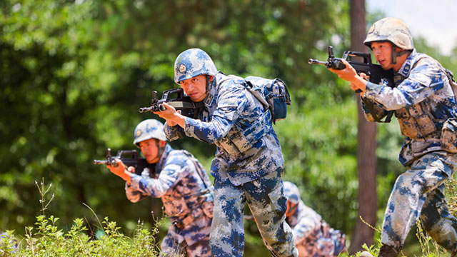 小气猫为士兵断后-士兵的坚韧勇敢:战场上的无畏之志
