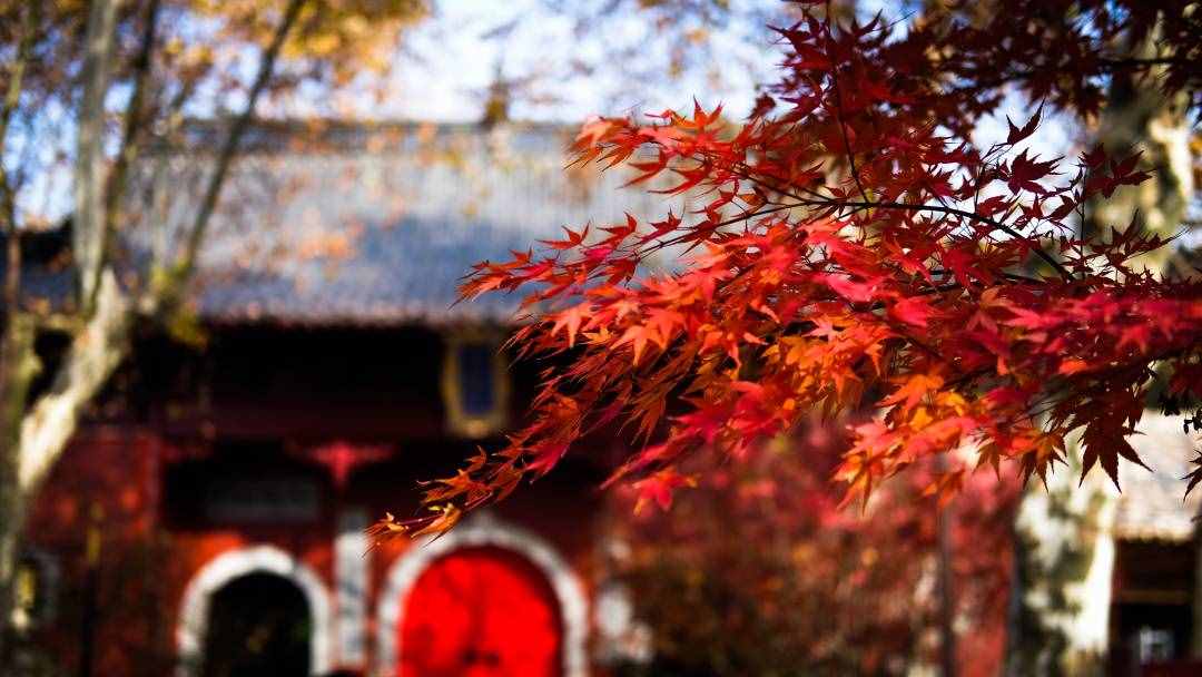 贵州县城地图_贵州县域地图_贵州织金县城图片