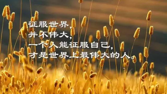 以下哪个伙伴会使用潜灵养性-揭秘心灵能量：如何潜灵养性，找回内心声音