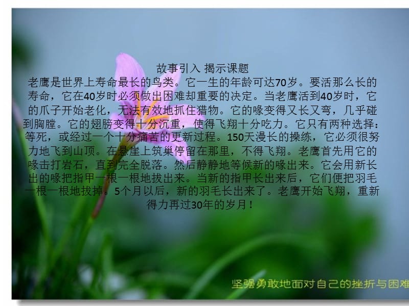到中流击水意思_击水中流的意思_击水中流读音