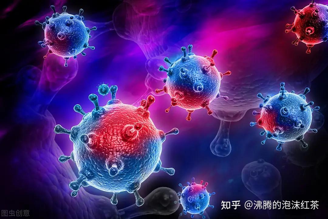 冷水猿努力值_口袋妖怪xy蒂安希努力值_日月努力值不带病毒