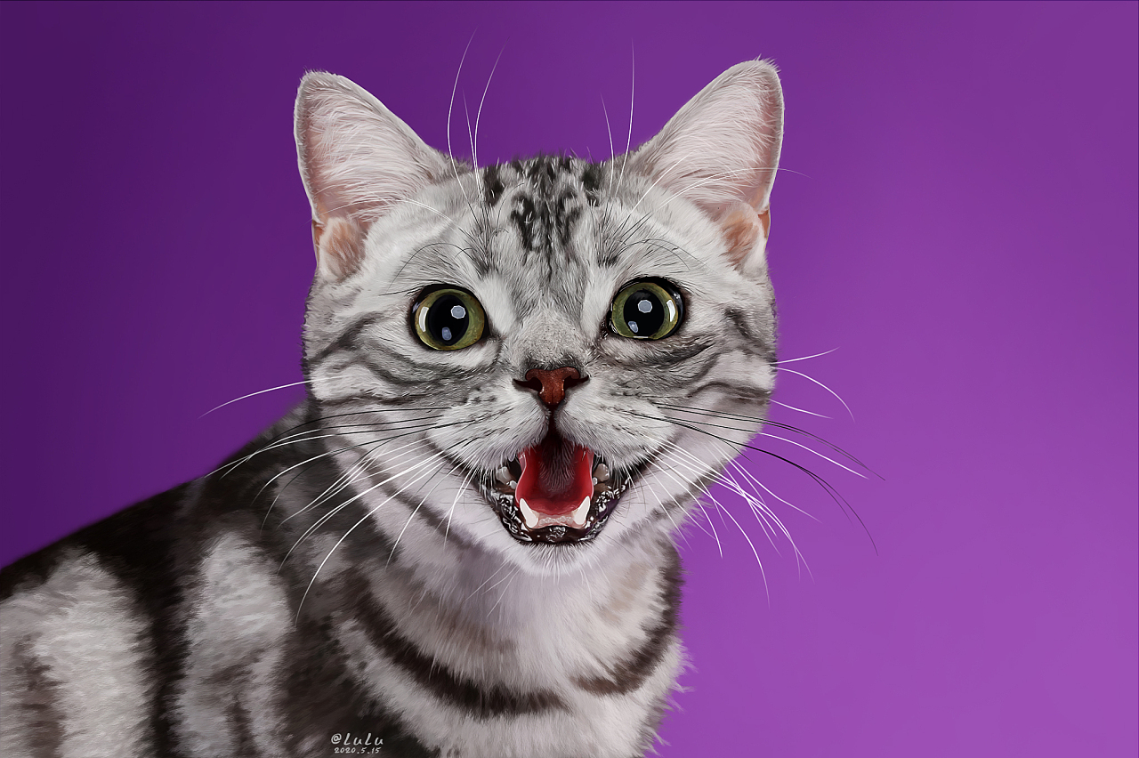 画画可爱小猫咪_可爱小猫咪的绘画图片_绘画猫咪可爱图片小女孩