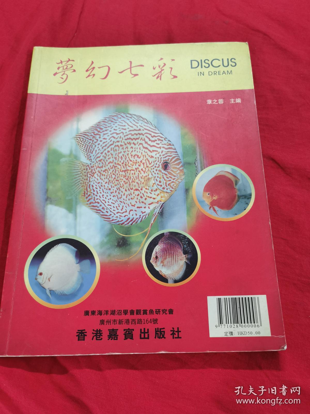 梦幻100装备开4孔技巧-梦幻西游手游100级四孔装备，开孔技巧全揭秘