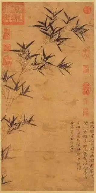 钓鱼大师耿宝强哪里人_耿宝强是几级垂钓大师_钓鱼人耿宝强个人资料