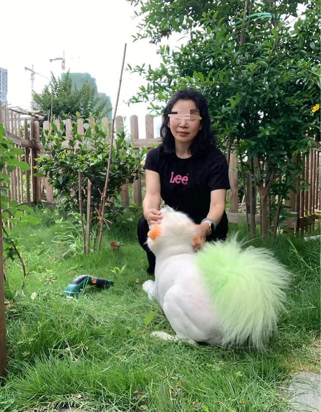 神器知识怎么升级_神器知识等级有什么用_神器知识最多多少级