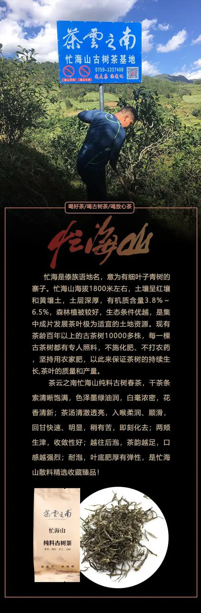 wow海山小怪掉落-海山秘境：小怪大惊喜，稀有珍宝等你发现