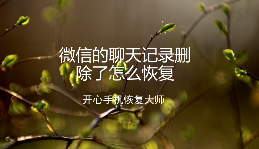 电脑端聊天软件_wire聊天软件电脑版_电脑聊天平台