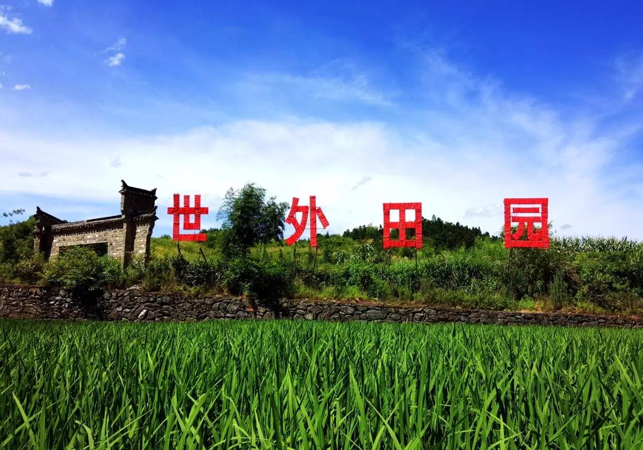 探寻极乐净土原创视频动漫：一场奇妙的冒险与情感的寄托