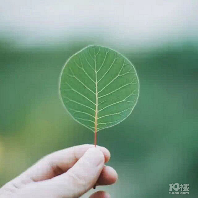 带着空间重生回到小时候19楼-穿越时光，重拾童年记忆：19楼的欢笑与梦想