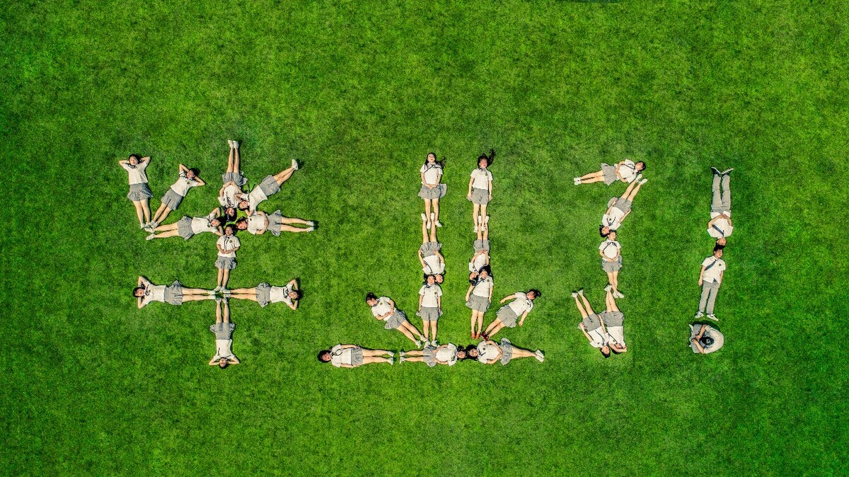 人工学院2无法正常启动_人工学院闪退_人工学院2突然打不开