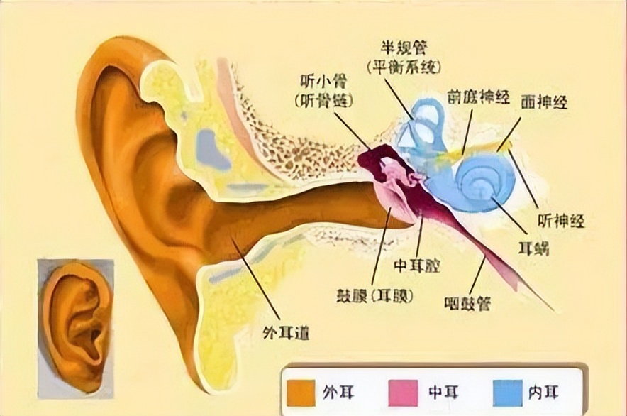 有换皮肤任务软件没做怎么办_有换皮肤任务软件没做会怎么样_有没有什么做任务可以换皮肤的软件
