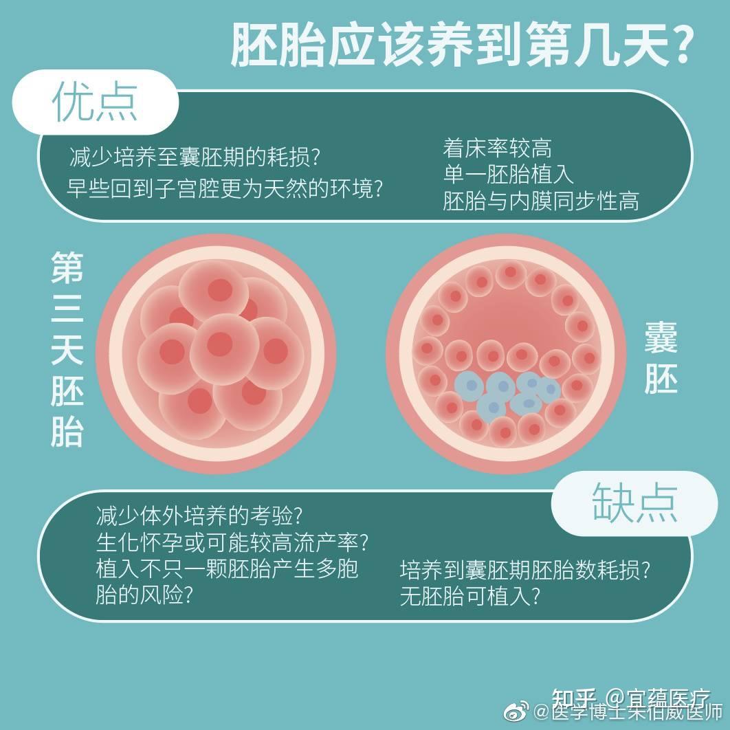 初具人形胚胎_人胚初具人形的时间是_胚胎初具人形的时间是妊娠