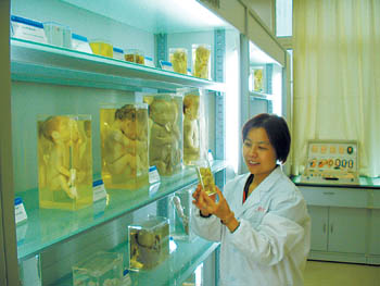 胚胎初具人形的时间是妊娠_初具人形胚胎_人胚初具人形的时间是
