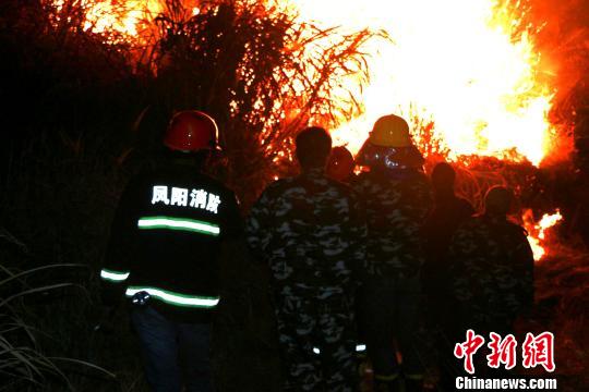 保卫家园游戏视频_家园保卫战赚钱_烧的蔬菜之家园保卫战