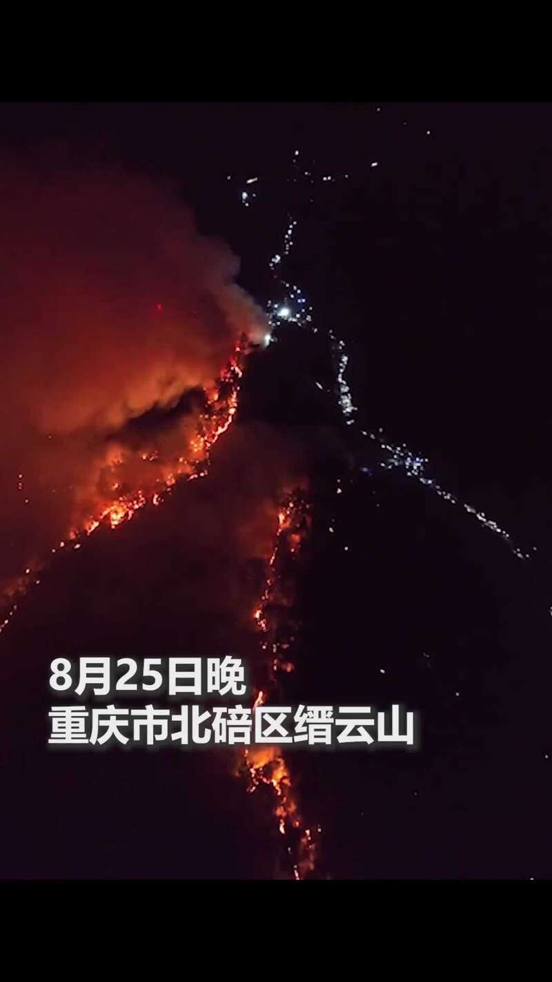 家园保卫战赚钱_保卫家园游戏视频_烧的蔬菜之家园保卫战