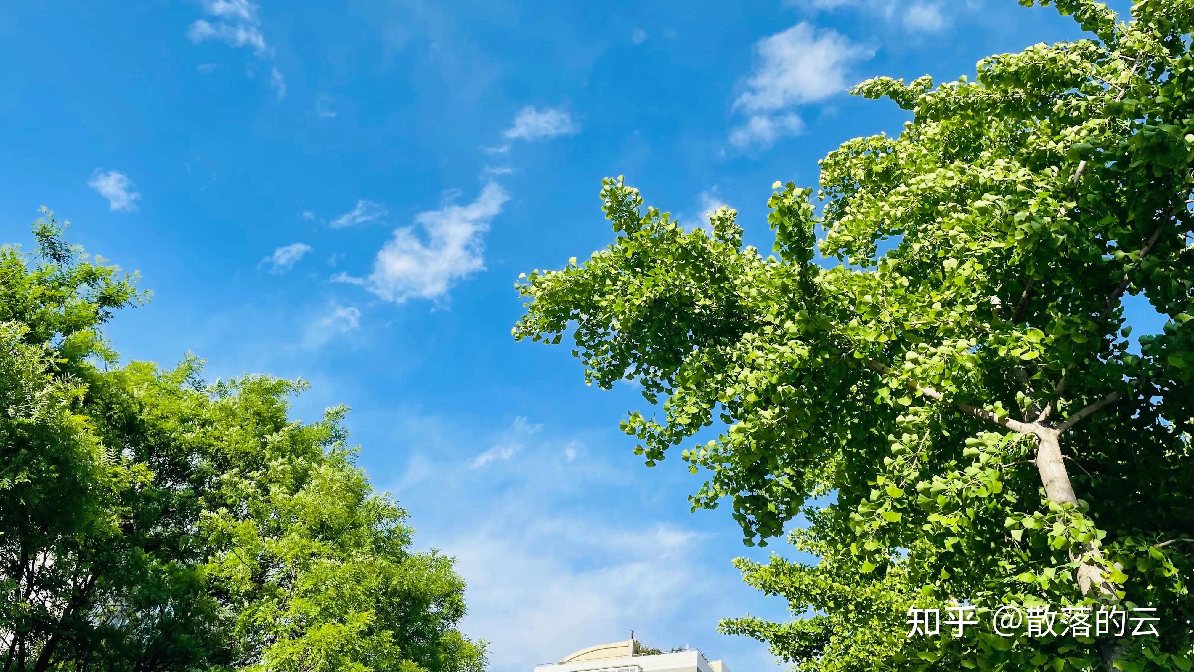 思春期游戏迅雷下载_思春期游戏迅雷下载_思春期游戏迅雷下载
