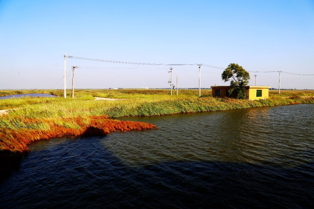 红海滩风景廊道可以开车进去吗_红海滩风景廊道门票_红海滩风景廊道正门是哪个门