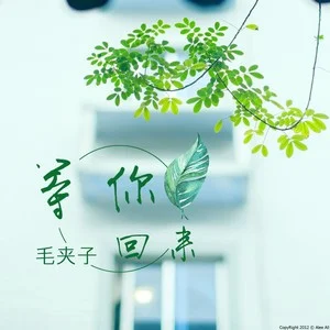 你字开头的歌曲_歌曲开头叫啥_开头的歌词