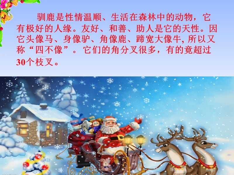 会走路的树教案-神奇！沙漠中会走路的树，它们的生存策略令人惊叹