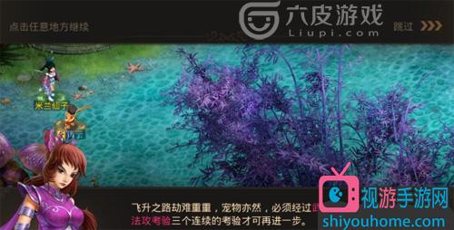 问道宠物点化怎么划算_问道宠物点化攻略_问道手游宠物点化有什么用