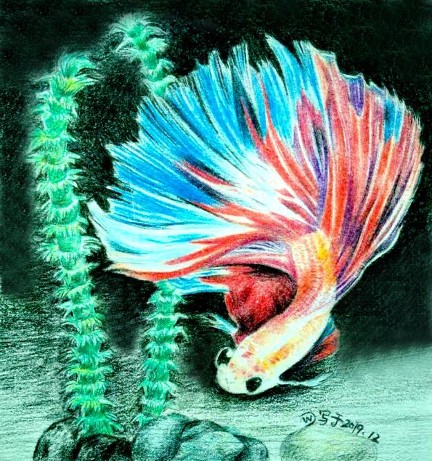 铅笔动漫手绘图片_简单动漫图片铅笔画_铅笔动漫卡通图片