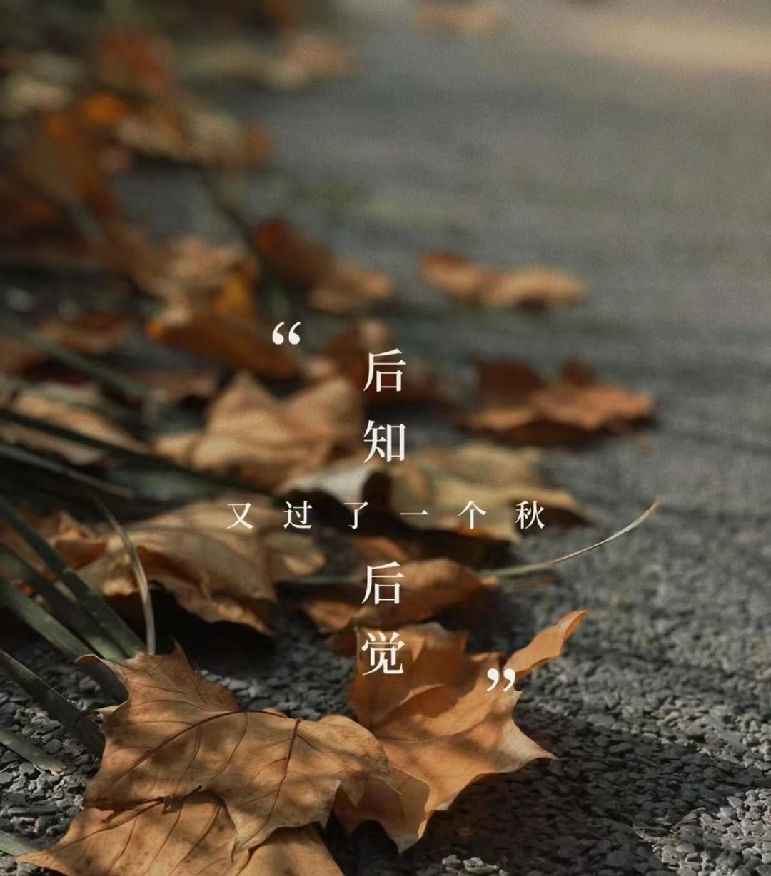 周末同床游戏_周末游戏_情侣周末游戏