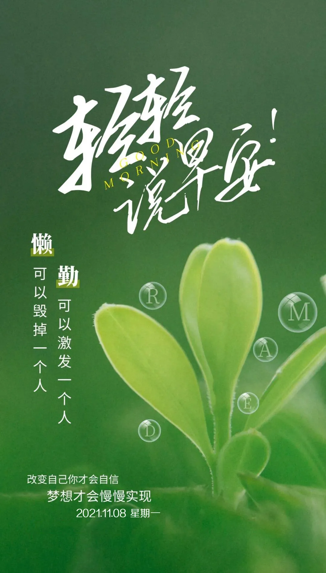 作文中惊艳的神仙句子青春_句子青春是什么_青春的句子