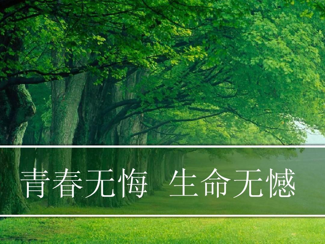 作文中惊艳的神仙句子青春_句子青春是什么_青春的句子