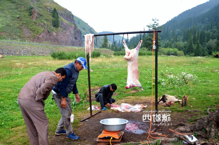 高手女人杀羊视频-女子杀羊视频：打破传统性别角色，展现野性力量之美