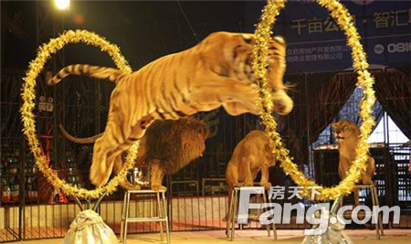 杂技林美百度云_杂技林美百度云_杂技林美百度云
