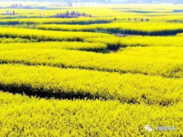 杂技林美百度云_杂技林美百度云_杂技林美百度云