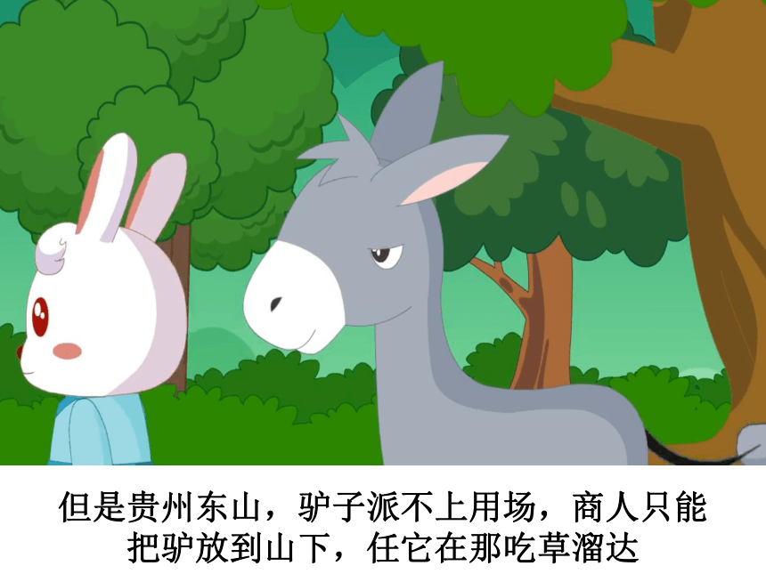 驴房是什么东西_驴房是驴身上什么部位_驴房有术最新大结局
