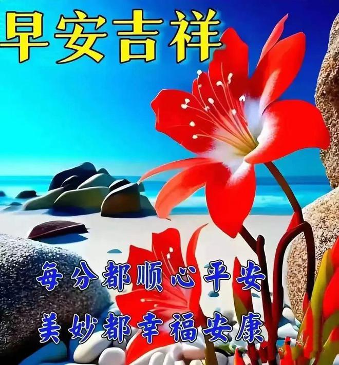 大战队动漫_动漫战队_大战队动画片