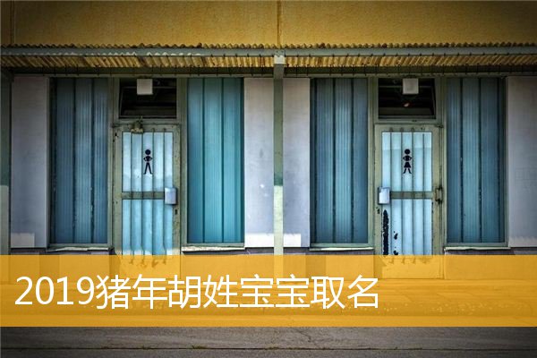 胡姓可以打100分的名字_免费胡姓名字大全_胡姓名字