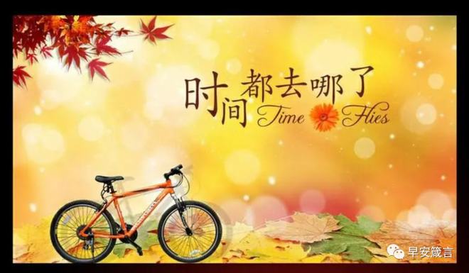 张翔玲结婚没有_张翔玲年龄_张翔玲多高
