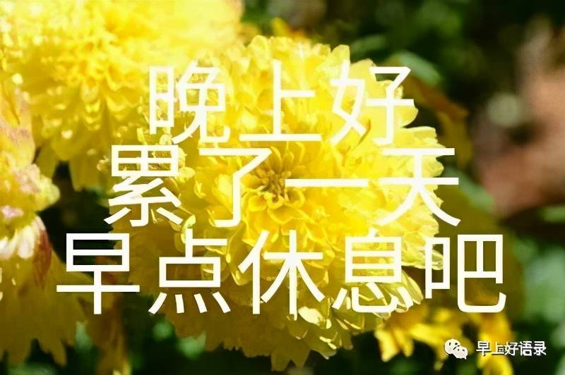 控制老朋友任务_控制朋友的指令_控制所有任务