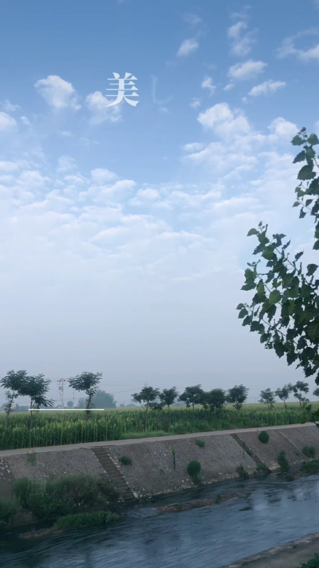 夏天雨后钓鱼钓底还是钓浮_夏天雨后放晴好钓鱼_钓鱼雨后夏天放晴好钓不