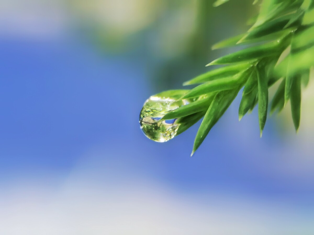 夏天雨后放晴好钓鱼_钓鱼雨后夏天放晴好钓不_夏天雨后钓鱼钓底还是钓浮