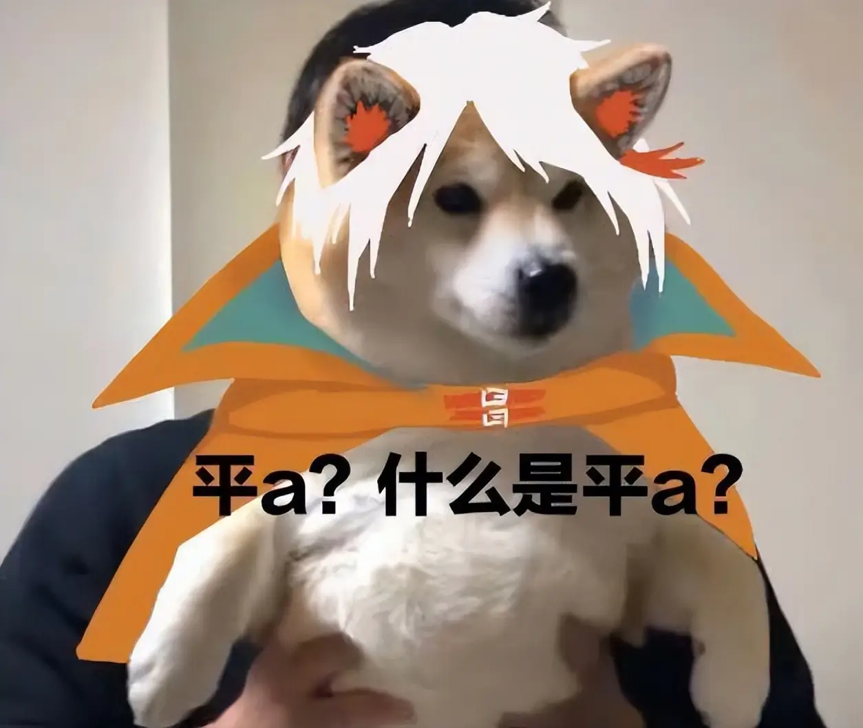 大班游戏玩法视频_电大班玩玩法游戏教案反思_大班游戏电玩玩法