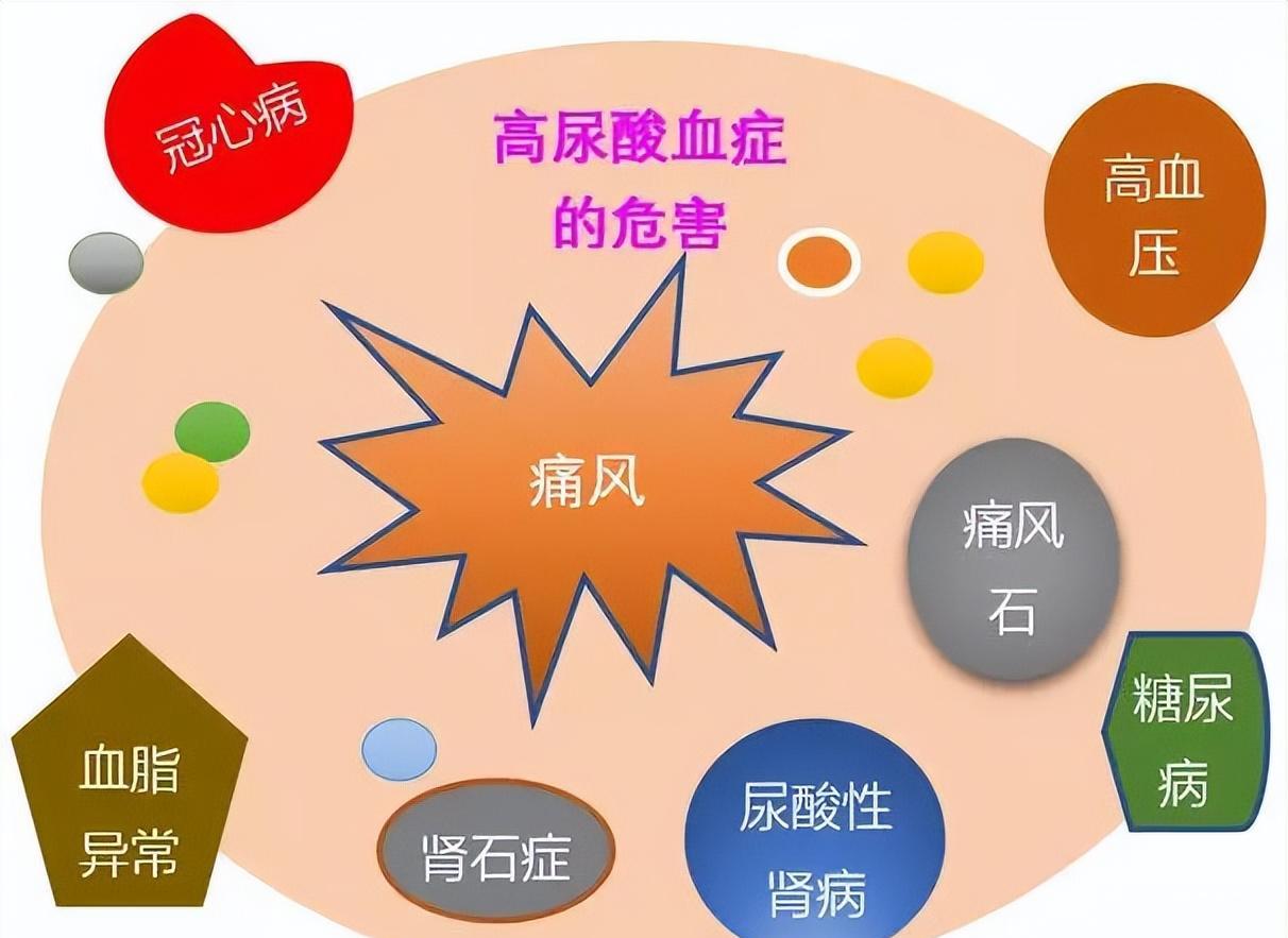 中老年人的健康_健康知识集锦之中老年人健康指标_老年人的健康指标