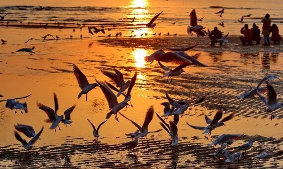 游戏海面贴图_海洋贴图_海面贴图游戏怎么玩