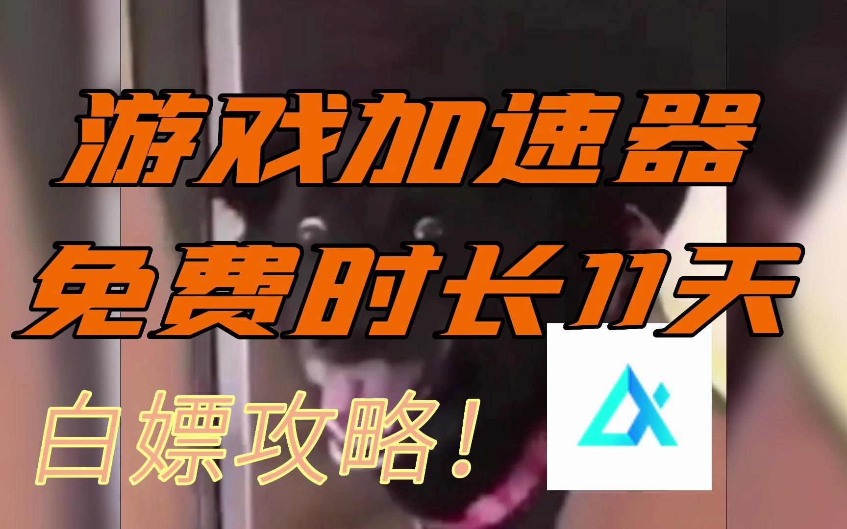 91网游加速器永久免费版_网游永久器加速免费版下载_网游永久器加速免费版