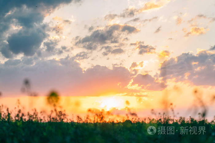 飞飞贴吧_飞飞怎么了_飞飞发布