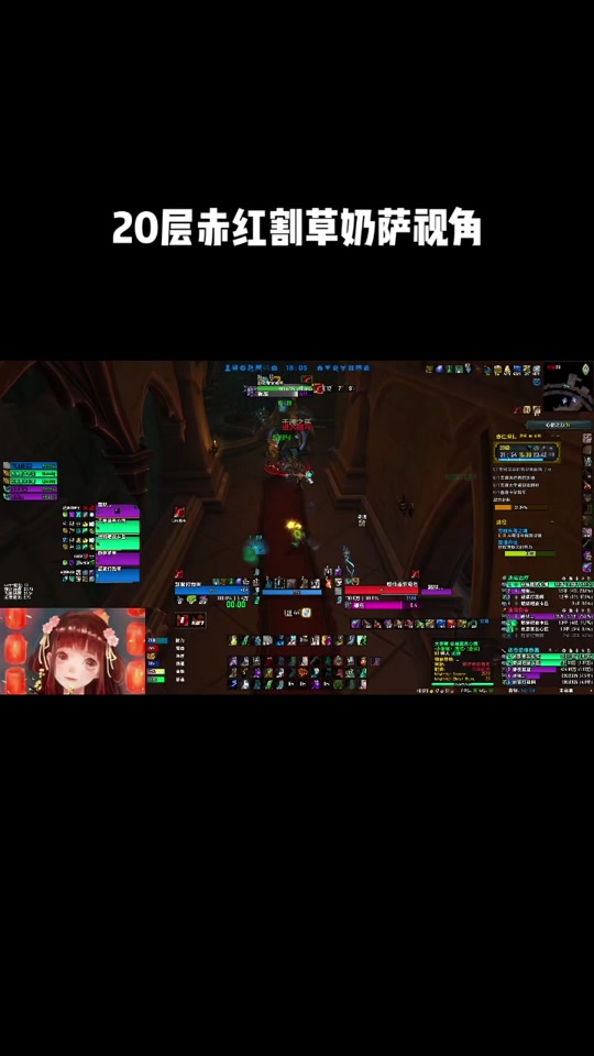 tbc恢复萨满属性_恢复萨满属性优先级_2.4.3的恢复萨满属性选择