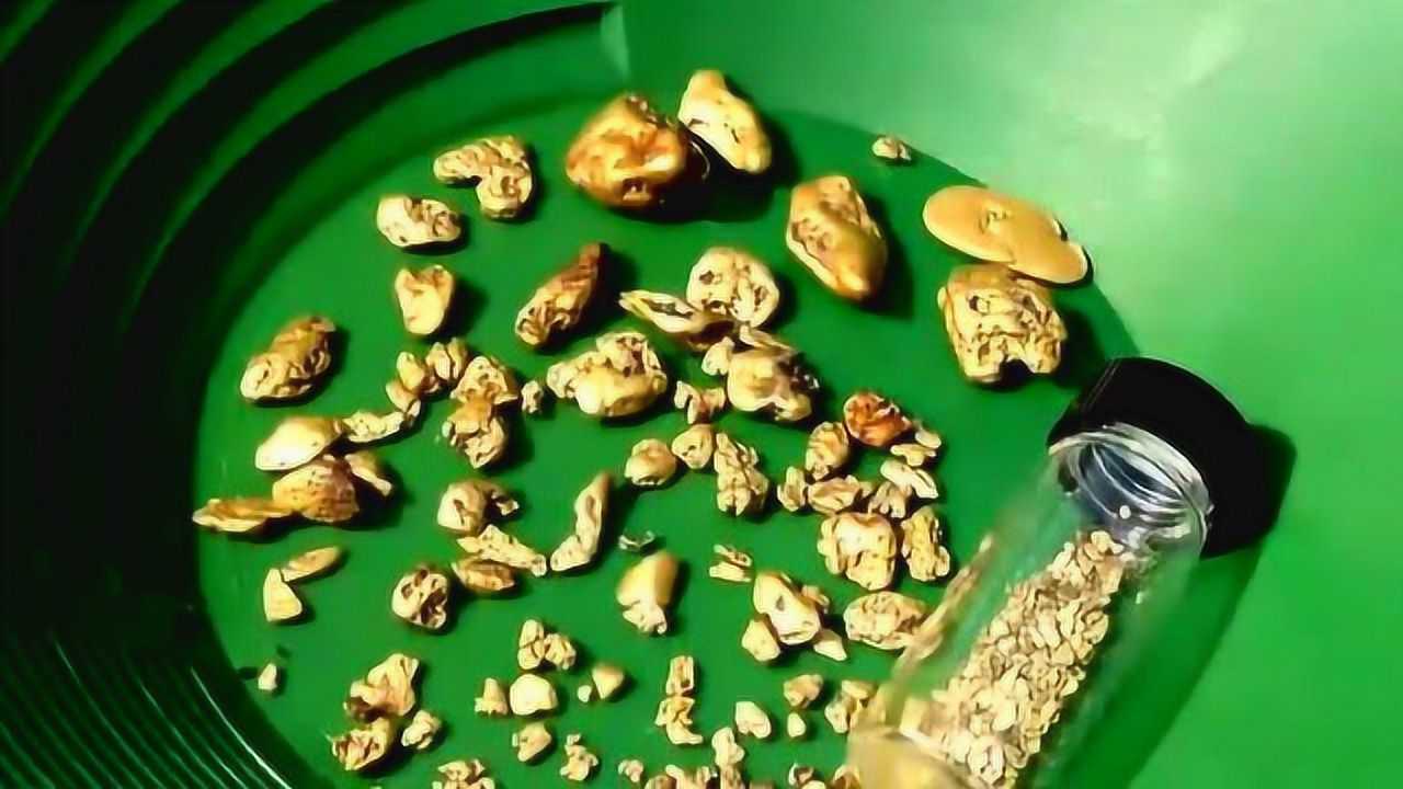狗头金哪里发现的多_我国哪里狗头金有分布_中国哪些地方有狗头金