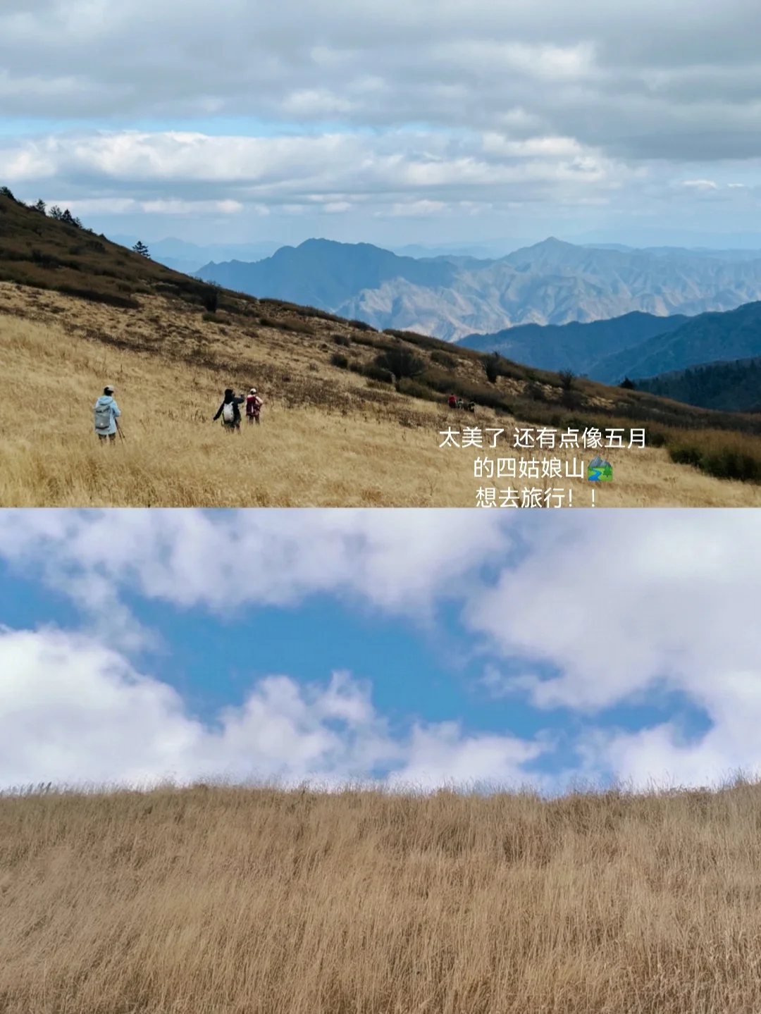 飞天魔像材料一天只能做一个_飞天魔像采药要下马吗_飞天魔像图纸哪里出