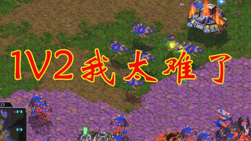 星际争霸1人族战役_星际争霸重制版人族战役_战役争霸星际人族怎么玩